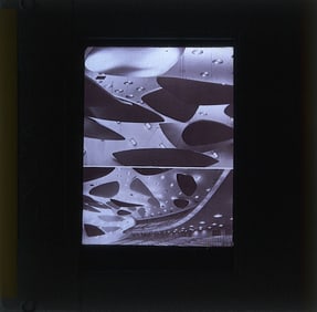 Art Original 20th C. 35mm Slide Artist ALEXANDER CALDER (1898-1976)