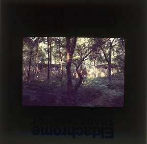 Art Original 20th C. 35mm Slide FRANK LLOYD WRIGHT (1867-1959)