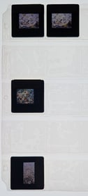 Scarce Set of Original 20th C. Set 35mm Art Slides JOSEPH STELLA