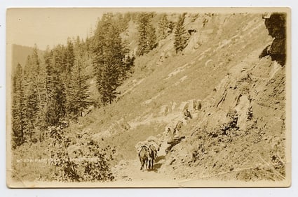RPPC "Pack Train on Speer Trail" Unused, Montana Logo AZO 1904 - 1918