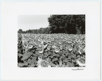 Original Signed Photo HARRIET TANNIN (1929-2009)