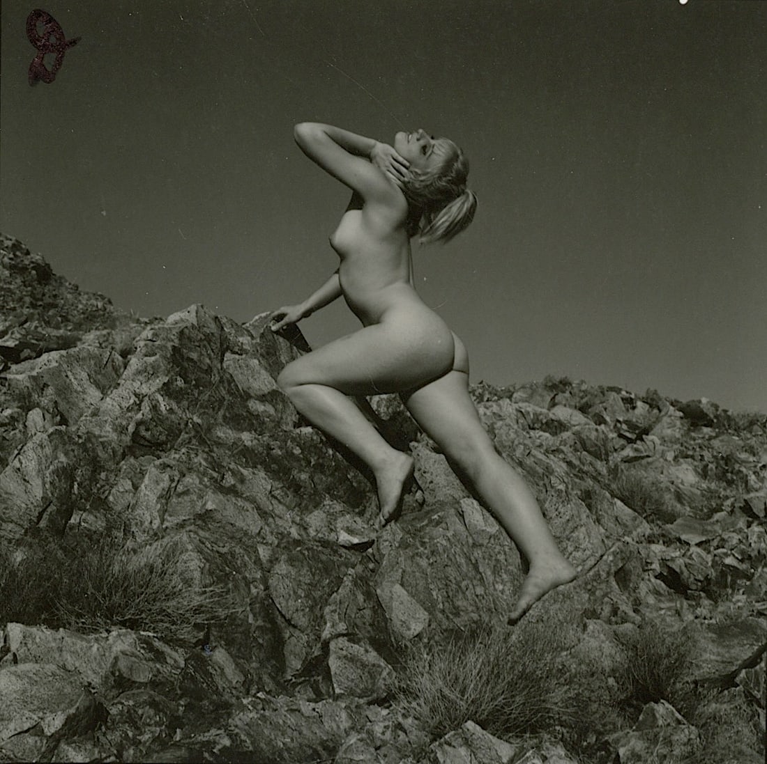 ANDRÉ DE DIENES Vintage Photo 1950s-1960s Nude Study: The provenance of this photo is from the archives of notable photographer André de Dienes.The dimensions are Approx. 2.75" x 2.75" (small variances can occur). This black and white gelatin photo was 