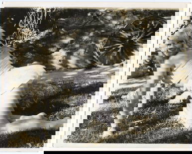 Vintage Original 20th C. Photo Pin Up Model Janet Sears 8" x 10": The provenance of this lot is from the a private collector in RI. We have included quality images to show it's actual condition. This lot is located in Boca Raton, Fl and its shipment will be made dir