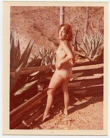 Pin Up Kodak Print Photo Naturalism Nude 3.5" x 5" Ca 1970s - 1990s
