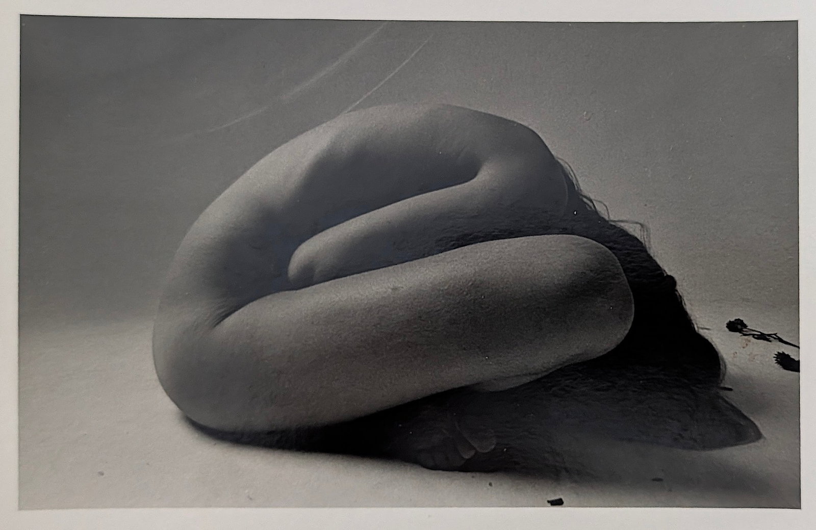 Original Gelatin Photo by TED WILLIAMS - Female Nude: Ted Williams was an American jazz and cultural photographer (1925-2009) known for his extensive work documenting iconic jazz musicians like Duke Ellington and Miles Davis, as well as covering the Civi
