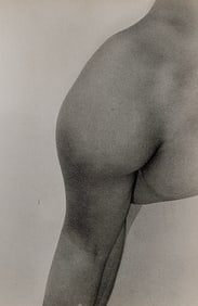 Original Gelatin Photo by TED WILLIAMS - Nude Body Detail
