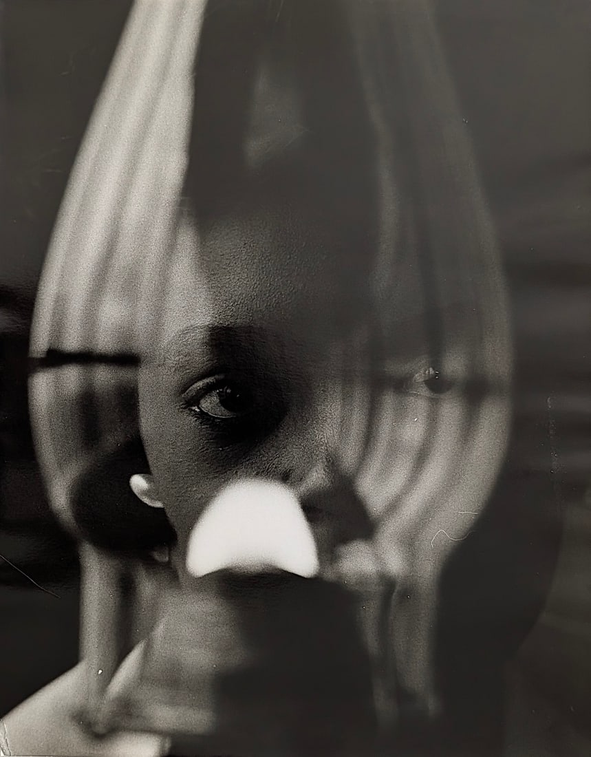 Original Gelatin Photo by TED WILLIAMS - Civil Rights Serie (1 of 3)