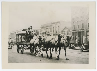 Vintage Photo Circus Parade Wagon Copy Rated & Stamped