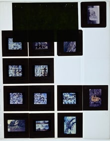Unique Museal Set of Original 20th C. 35mm Art Slides CANOLE