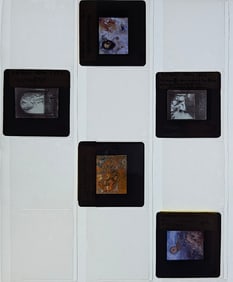Unique Museal Set of Original 20th C. 35mm Art Slides REDON