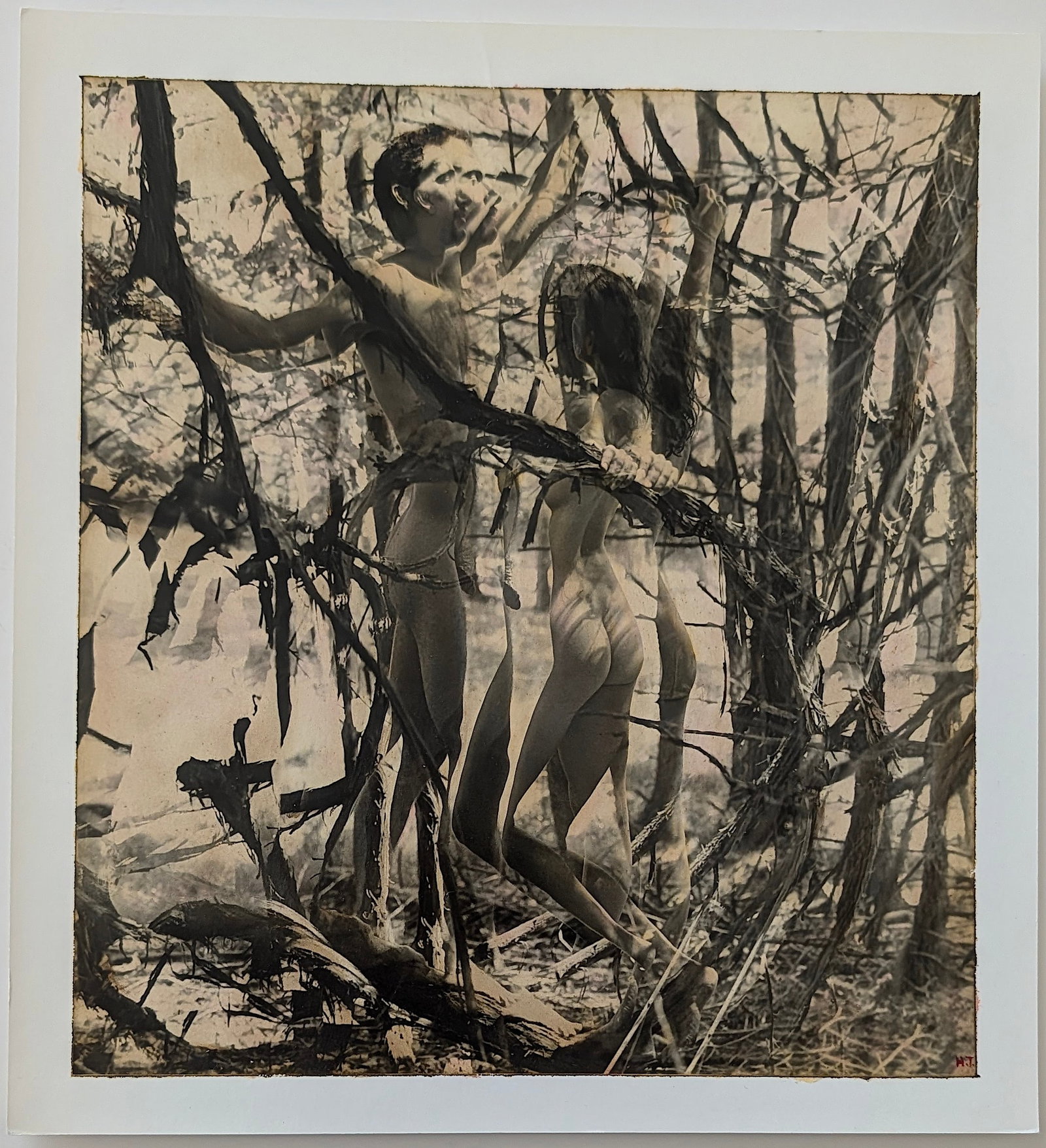 Original Signed Photo HARRIET TANNIN (1929-2009): Harriet Tannin, photographer, painter, sculptor, political activist, writer and lecturer was born April 26, 1929. She is best known for her modernist, pioneer work with woven photography and her non-o