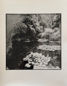 Original Signed Photo HARRIET TANNIN (1929-2009)