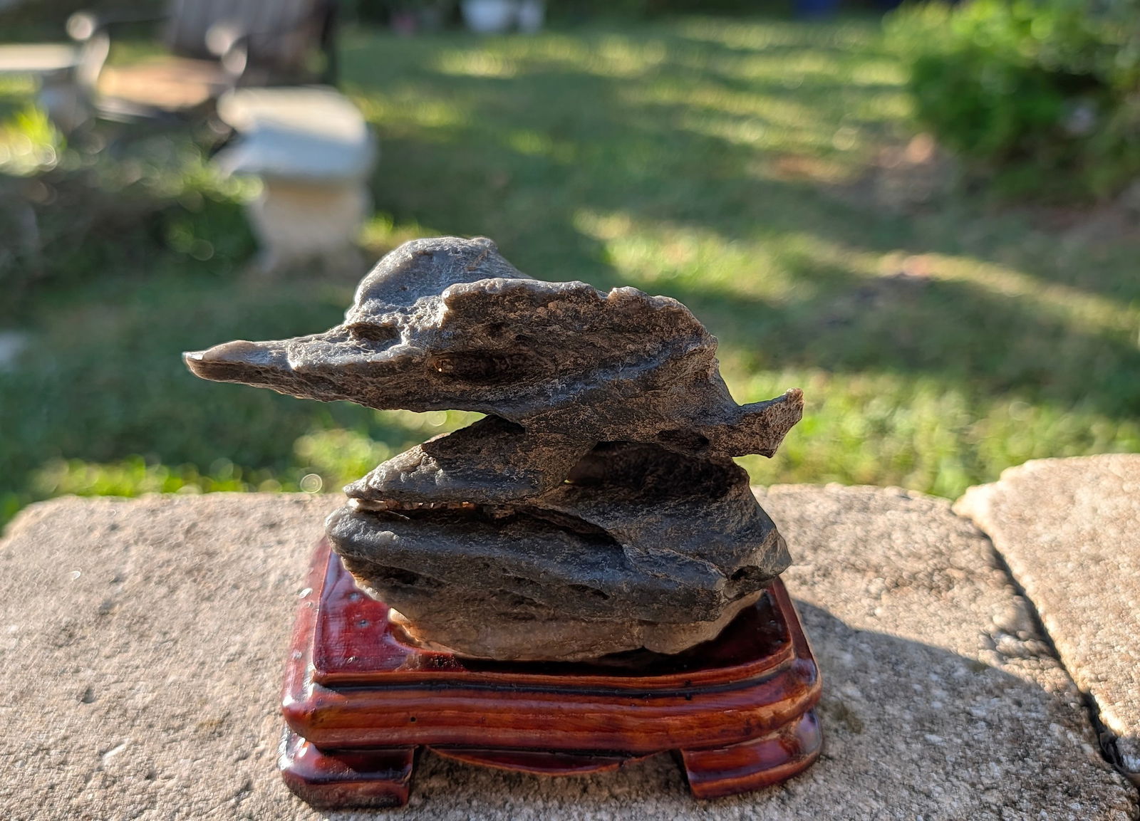 Suiseki (Japanese Viewing Stone) on a wooden Display Base