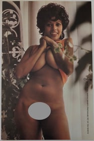 Vintage Pin Up Poster 1970 Penthouse International Nude 17" x 11"