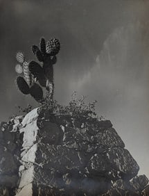 Attributed TINA MODOTTI (1896-1942) Vintage Photograph