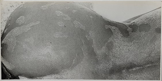 Original Gelatin Photo by TED WILLIAMS - Nude Body Detail