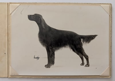RUDOLPH TAUSKEY Vintage Photograph Irish Setter Dog Ca. 1930s