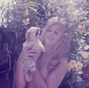 BUNNY YEAGER Vintage 1960s Camera Color Transparency Photo