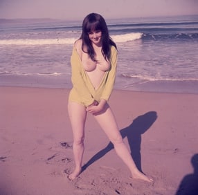 BUNNY YEAGER Vintage 1960s Camera Color Transparency Photo