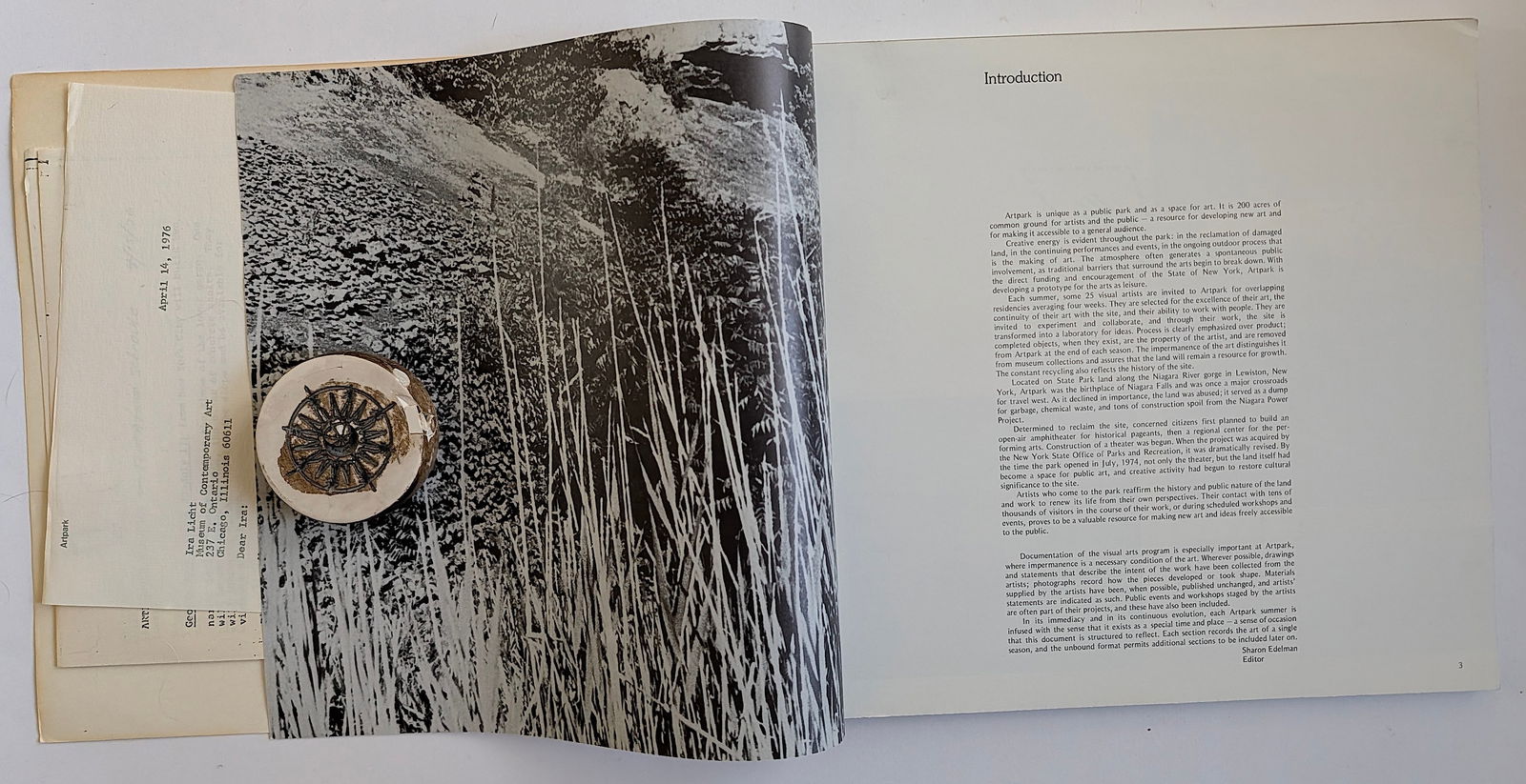 Artpark: The Program in Visual Arts, 1976 - 3