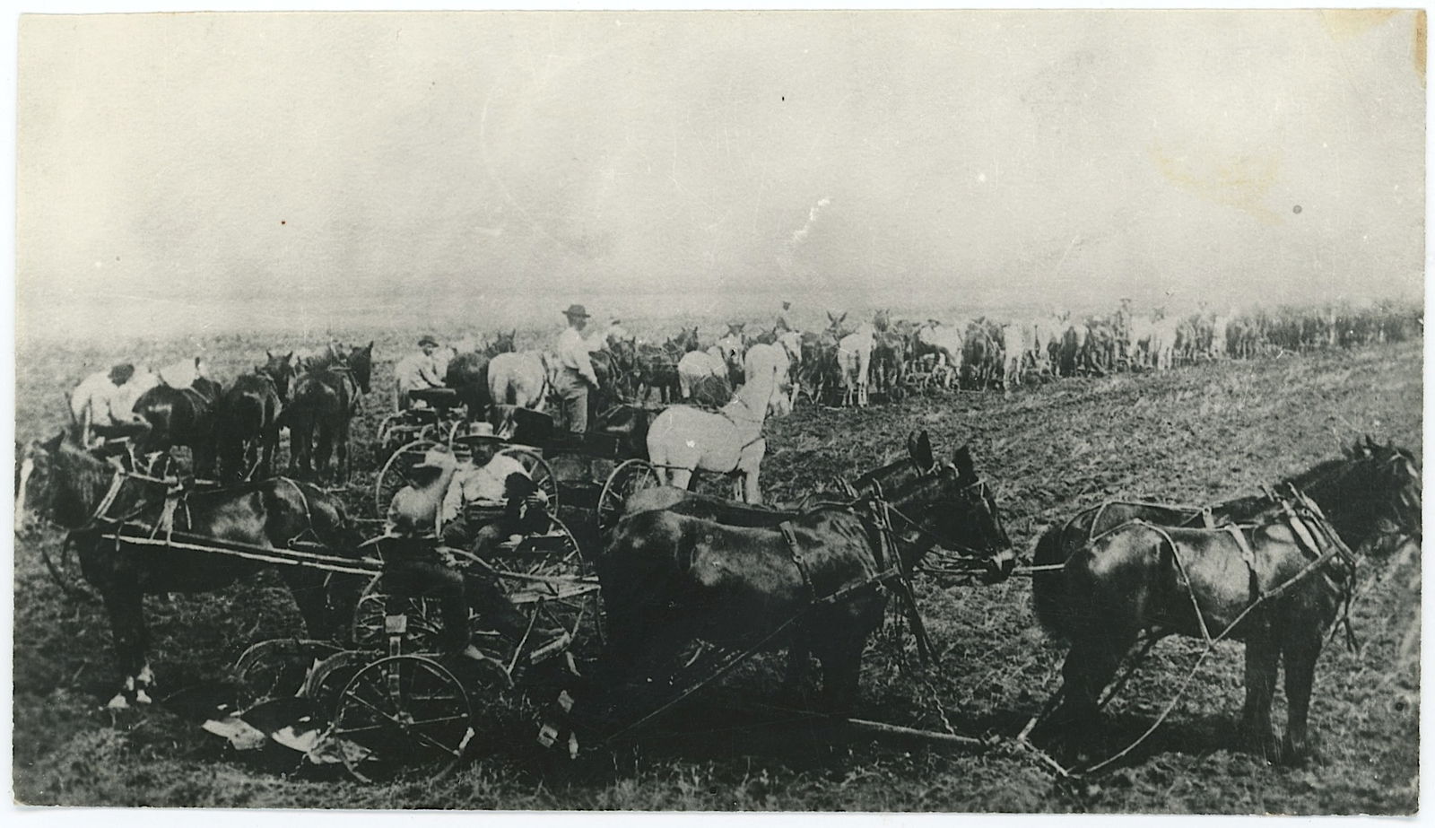 Vintage Real Scarce Photo Bonanza Farm Late 19th C. Sealed: The provenance is from the estate of a deceased collector in South Florida.The dimensions are Approx. 3.25" x 5.75". We have included quality images to show it's actual condition. This lot is located