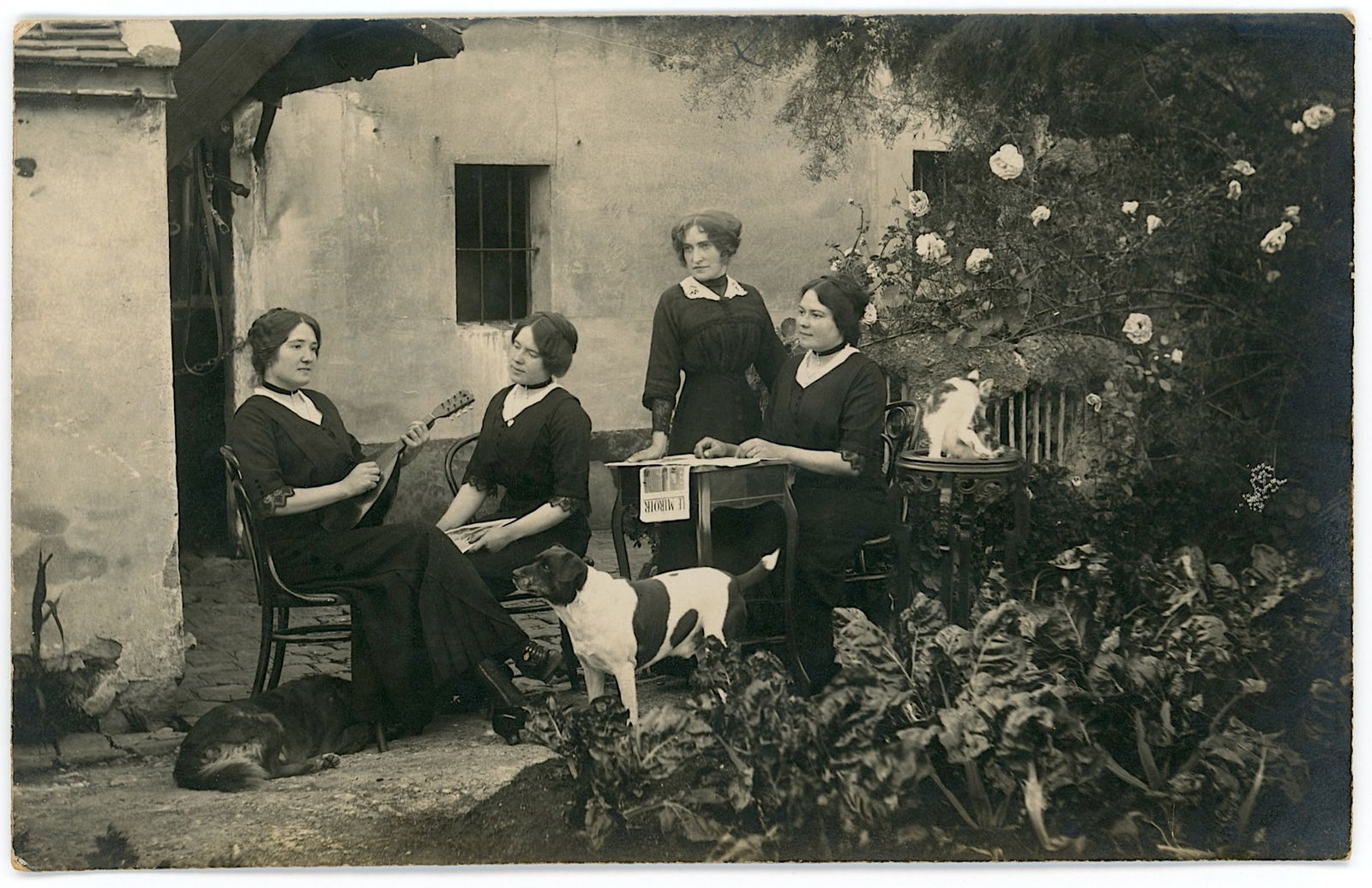 Vintage Real Scarce Photo Postcard Romantic Garden or Courtyard Setting: ABOUT POSTCARDS: The study and collecting of postcards is termed deltiology (from Greek deltion, small writing tablet, and English -logy, the study of). Rarity. As with all antique items, rarity bring