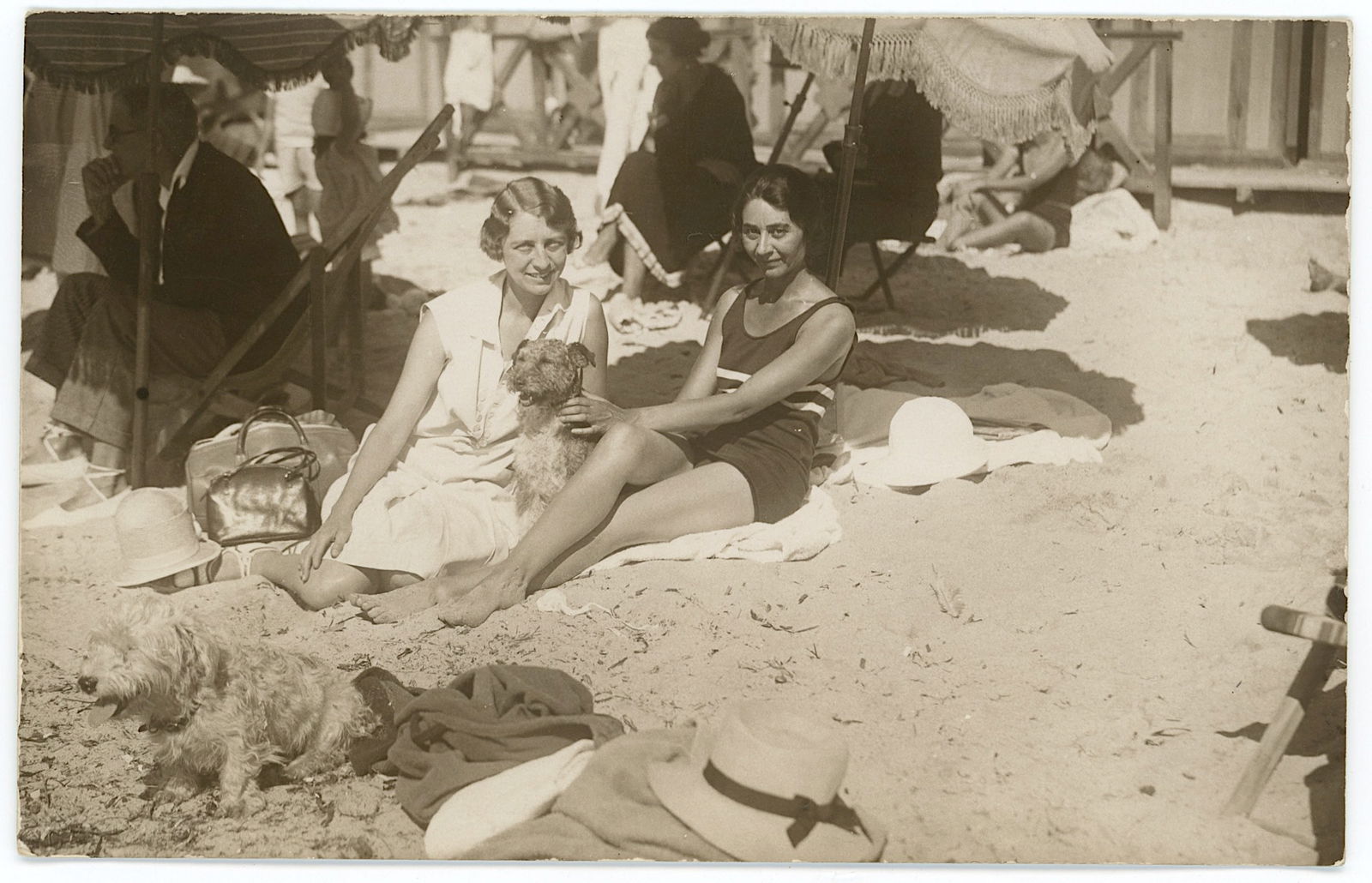 Vintage Real Scarce Photo Women with a Small Dog Relaxing on a Beach: ABOUT POSTCARDS: The study and collecting of postcards is termed deltiology (from Greek deltion, small writing tablet, and English -logy, the study of). Rarity. As with all antique items, rarity bring