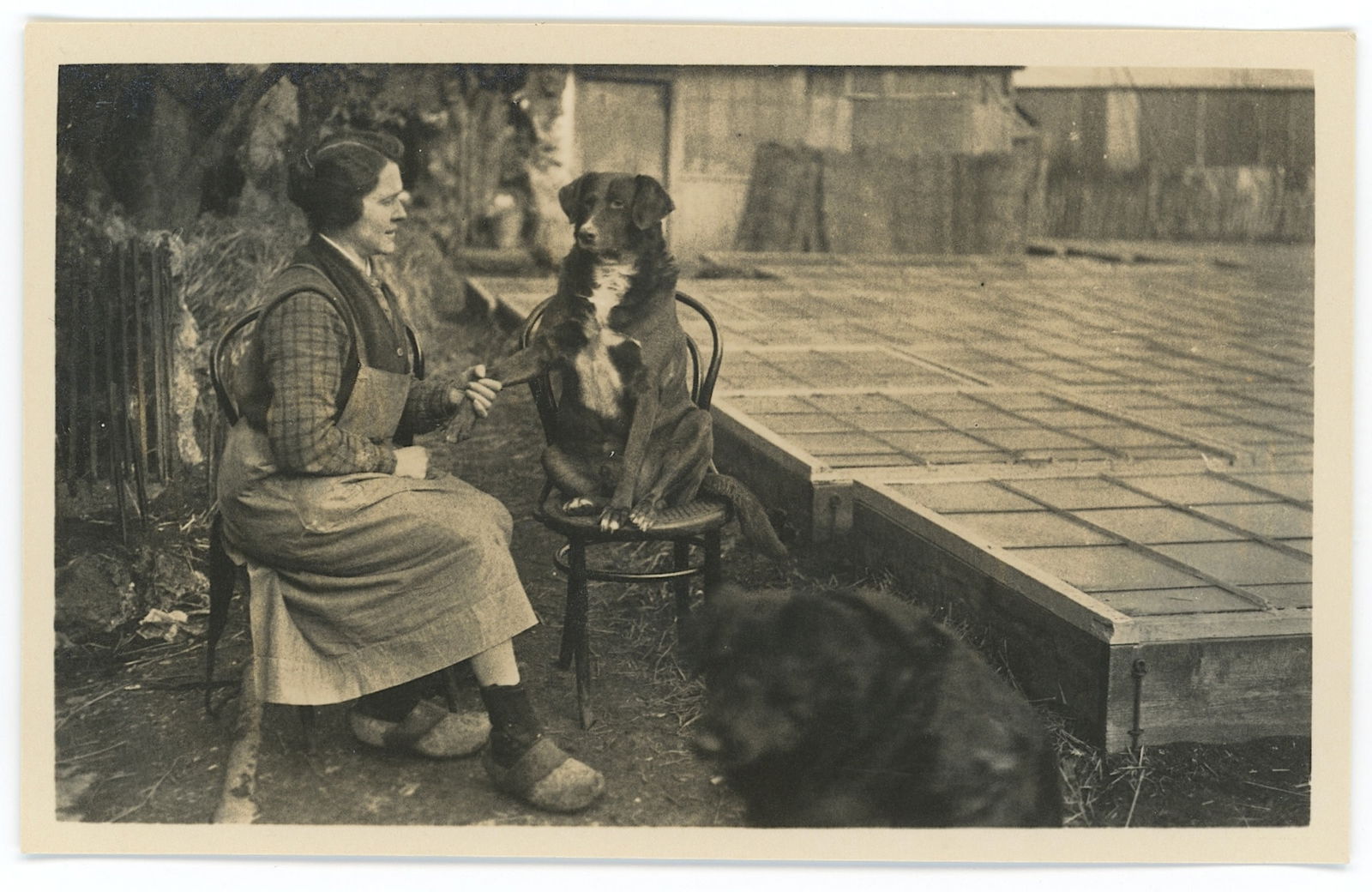 Vintage Real Scarce Photo Postcard Woman with Dog: ABOUT POSTCARDS: The study and collecting of postcards is termed deltiology (from Greek deltion, small writing tablet, and English -logy, the study of). Rarity. As with all antique items, rarity bring