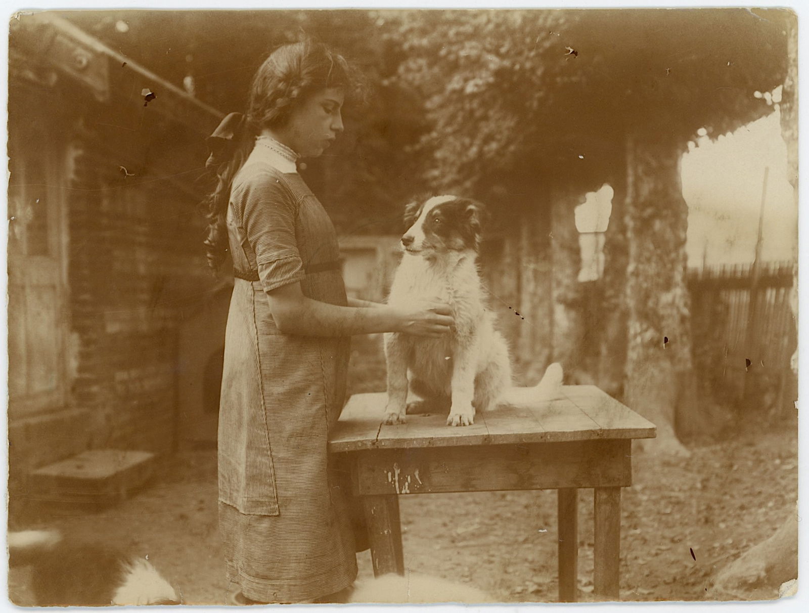 Vintage Real Scarce Photo Woman with Dog: The provenance is from the estate of a deceased collector in South Florida.The dimensions are Approx. 3.5" x 4.75". We have included quality images to show it's actual condition. This lot is located i