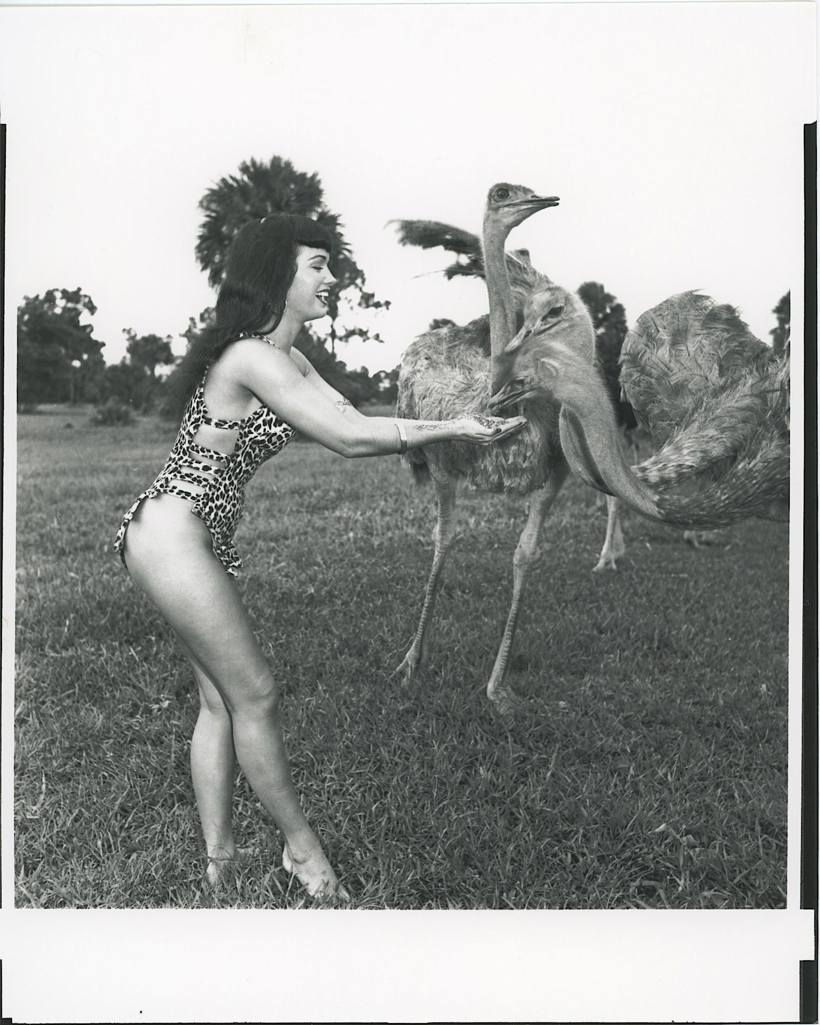 Vintage Photograph Pin-Up Model BETTIE PAGE by Irving Klaw: This lot is coming from the estate of a collector in RI. We have included a quality scan to show it's actual condition. The dimensions are Approx. 10" x 8". This lot is located in Boca Raton, Fl and i