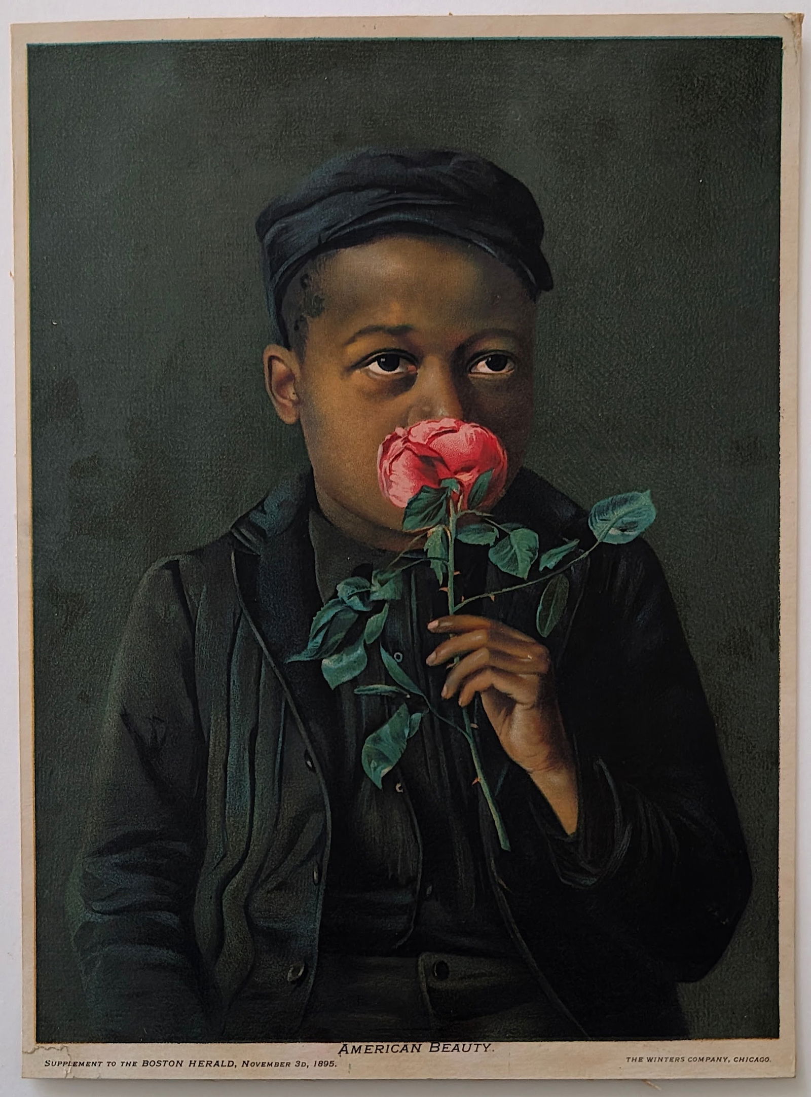 Vintage Scarce Original 1895 Chromolithograph AMERICAN BEAUTY - Boston Herald (1 of 4)