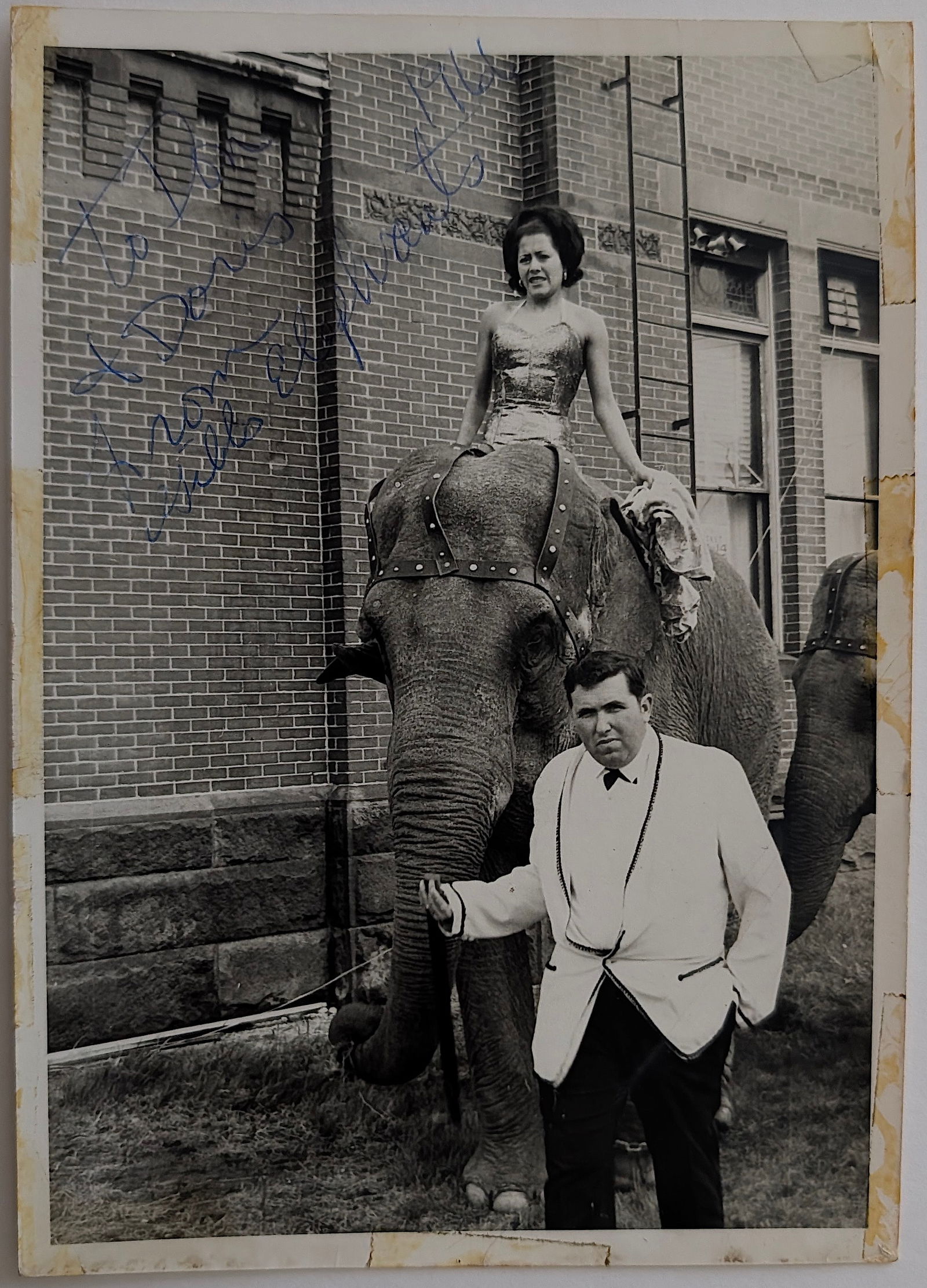 Vintage Real Photo Circus Elephant Show with Autograph (1 of 3)