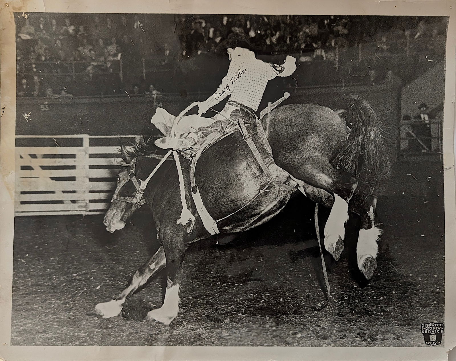 Vintage Photograph Rodeo CASEY TIBBS by Dispatch Photo News Service (1 of 3)