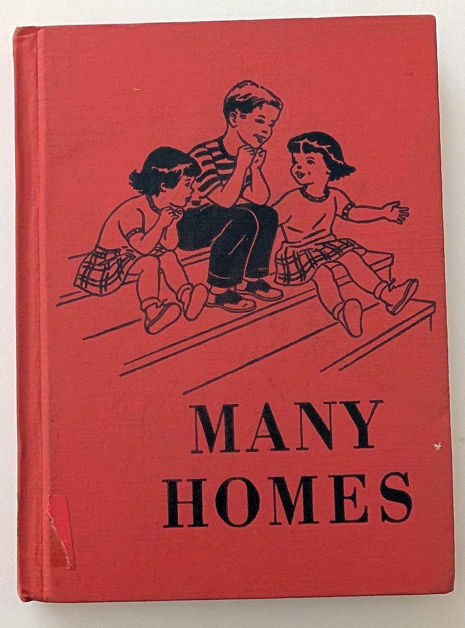 Children's book titled "Many Homes," Rand McNally Social Studies Series (1 of 5)