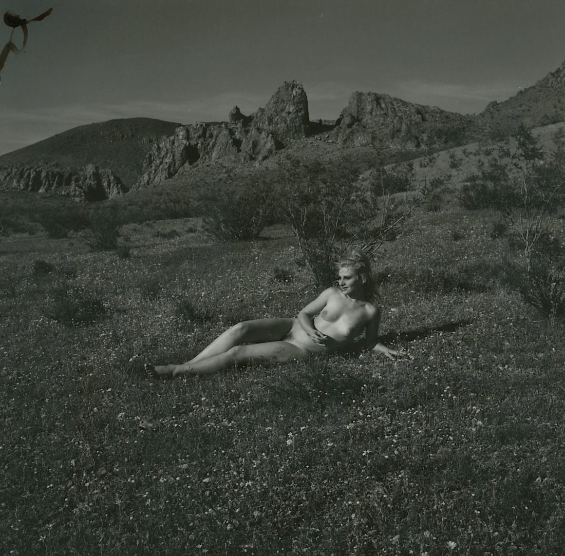 ANDRÉ DE DIENES Vintage Photo 1950s-1960s Nude Study: The provenance of this photo is from the estate/archives of notable photographer André de Dienes (Hungarian 1913 - 1986) in CA. André de Dienes is a well-known photographer, especially recognized fo
