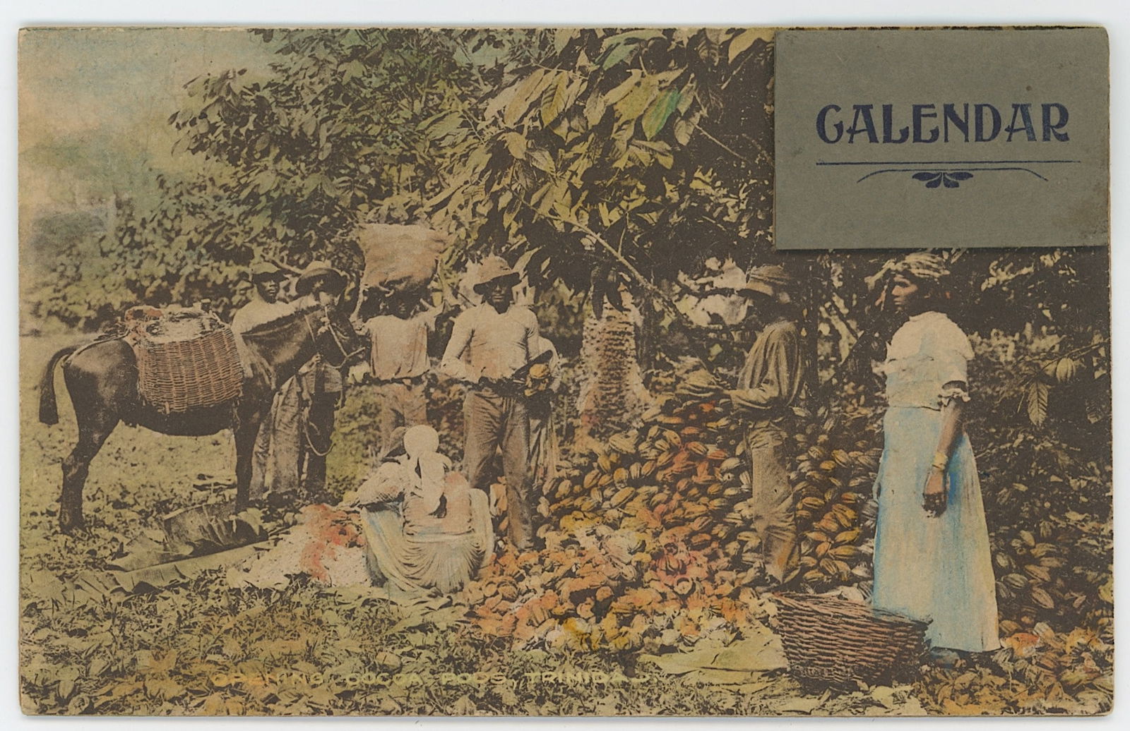 Vintage Rare Selected Ephemera Collectors Opportunity: The provenance of this item is the forgotten (for many years) inventories of Artelisted. Most of these findings are vintage postcards and/or tradecards. The regular size of a postcard/tradecard is app