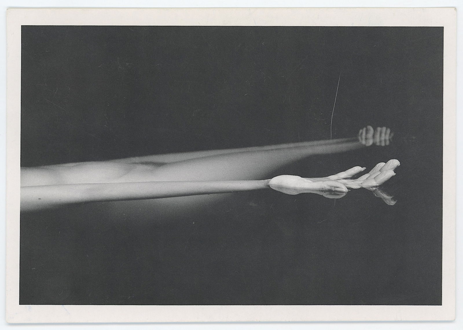 Vintage Rare Selected Ephemera Collectors Opportunity: The provenance of this item is the forgotten (for many years) inventories of Artelisted. Most of these findings are vintage postcards and/or tradecards. The regular size of a postcard/tradecard is app