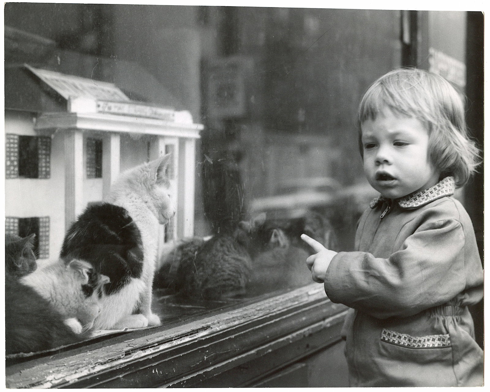 Original Photography by HERB FLATOW Serie Kitty Orphanage: This lot is coming from the estate of a collector in RI. We have included a quality scan to show it's actual condition. The dimensions are Approx. 10" x 8" (some variances can occur). This lot is loca