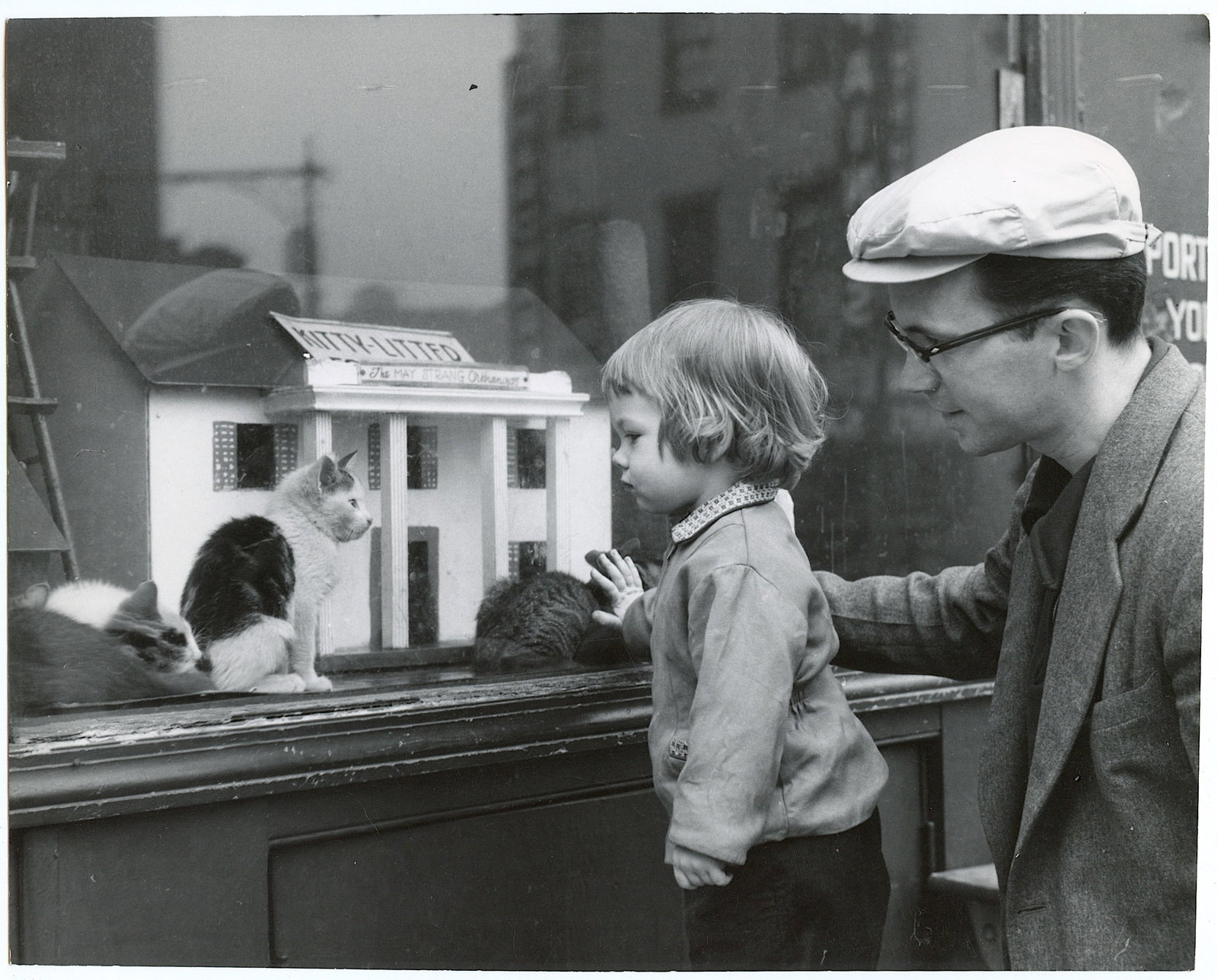 Original Photography by HERB FLATOW Serie Kitty Orphanage: This lot is coming from the estate of a collector in RI. We have included a quality scan to show it's actual condition. The dimensions are Approx. 10" x 8" (some variances can occur). This lot is loca