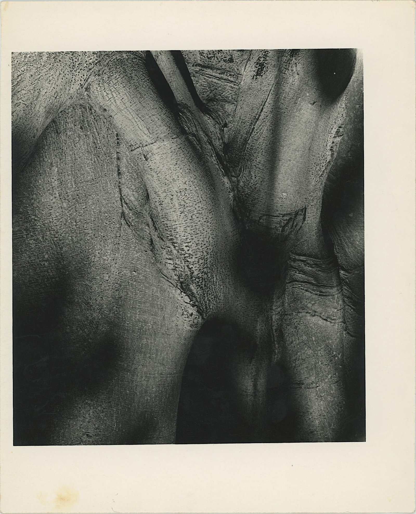 Vintage Print Abstraction Print Screen or Photo (?) Modern Art 20th C. (1 of 1)