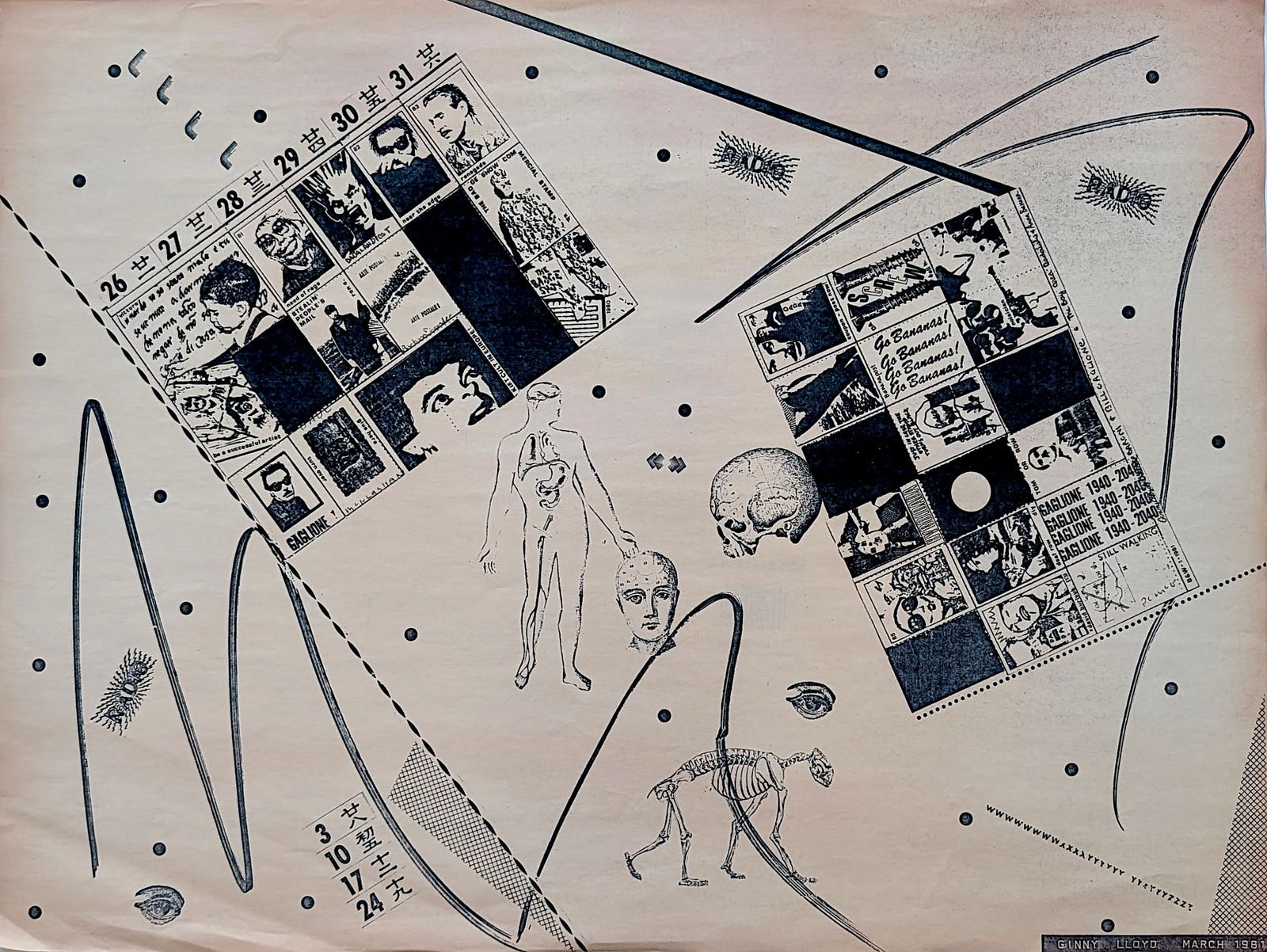 Vintage Original 1984 DADA Poster Sanf Francisco, CA - GINNY LLOYD: Ginny Lloyd, aka Gina Lotta, was born in Cambridge, Maryland, USA, in 1945. She got a Masters degree in Social Work at Syracuse University. She taught computer graphics at Ohlone College in Fremont, C