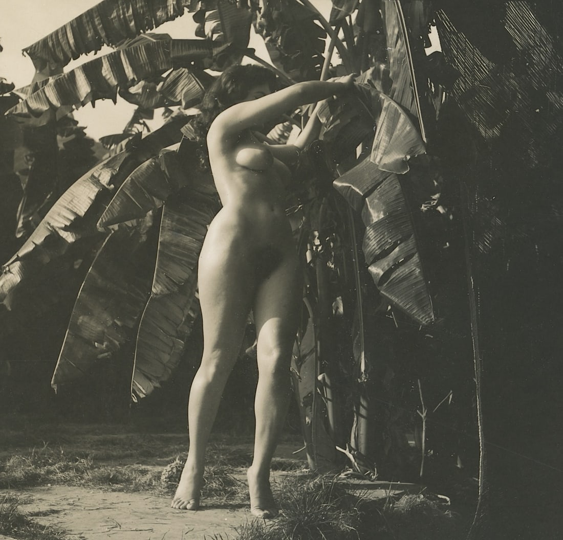 ANDRÉ DE DIENES Vintage Photo 1950s-1960s Nude Study: The provenance of this photo is from the estate/archives of notable photographer André de Dienes (Hungarian 1913 - 1986) in CA. André de Dienes is a well-known photographer, especially recognized fo