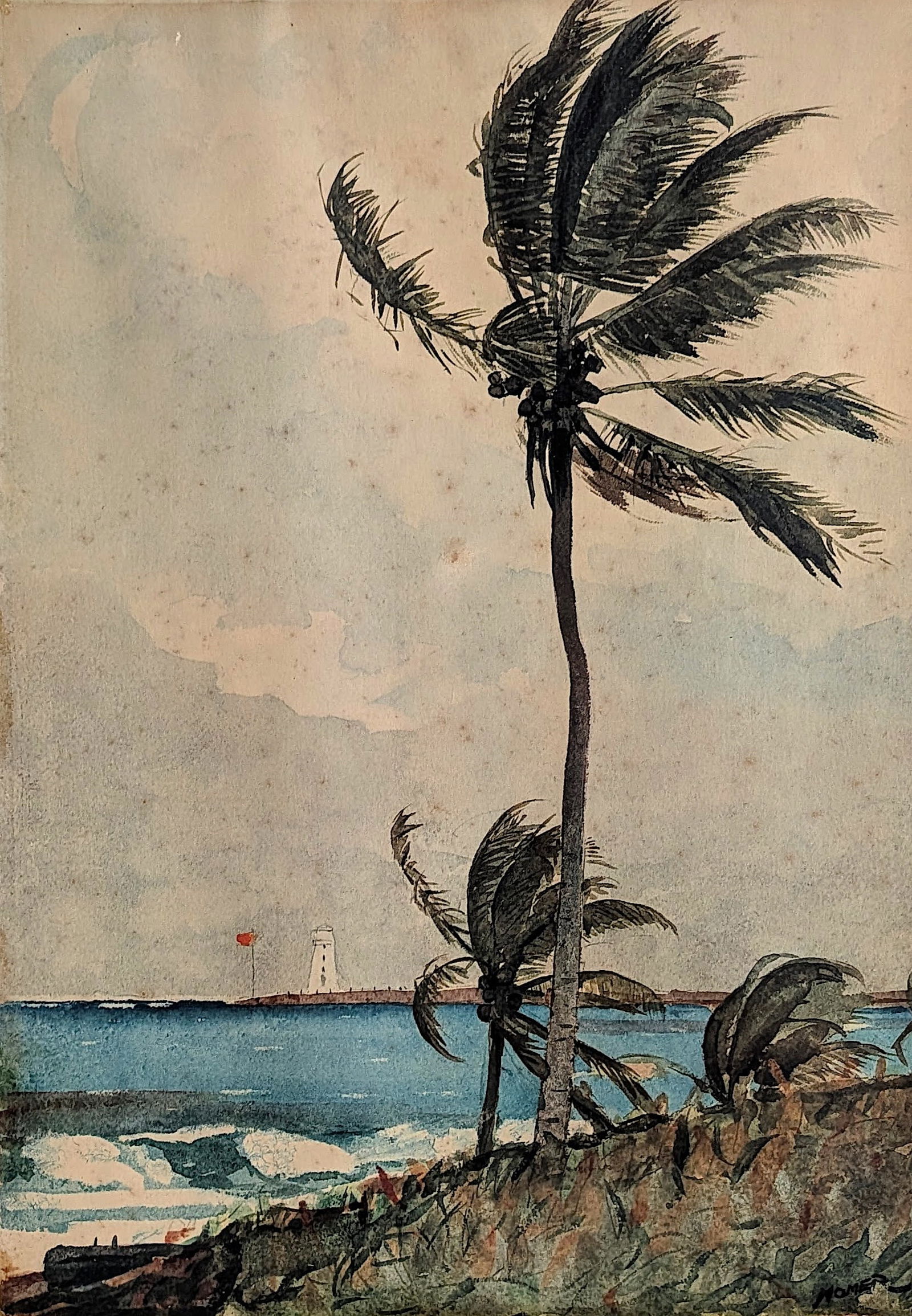 Vintage Print Color Collotype WINSLOW HOMER Palm Tree Nassau (1 of 5)