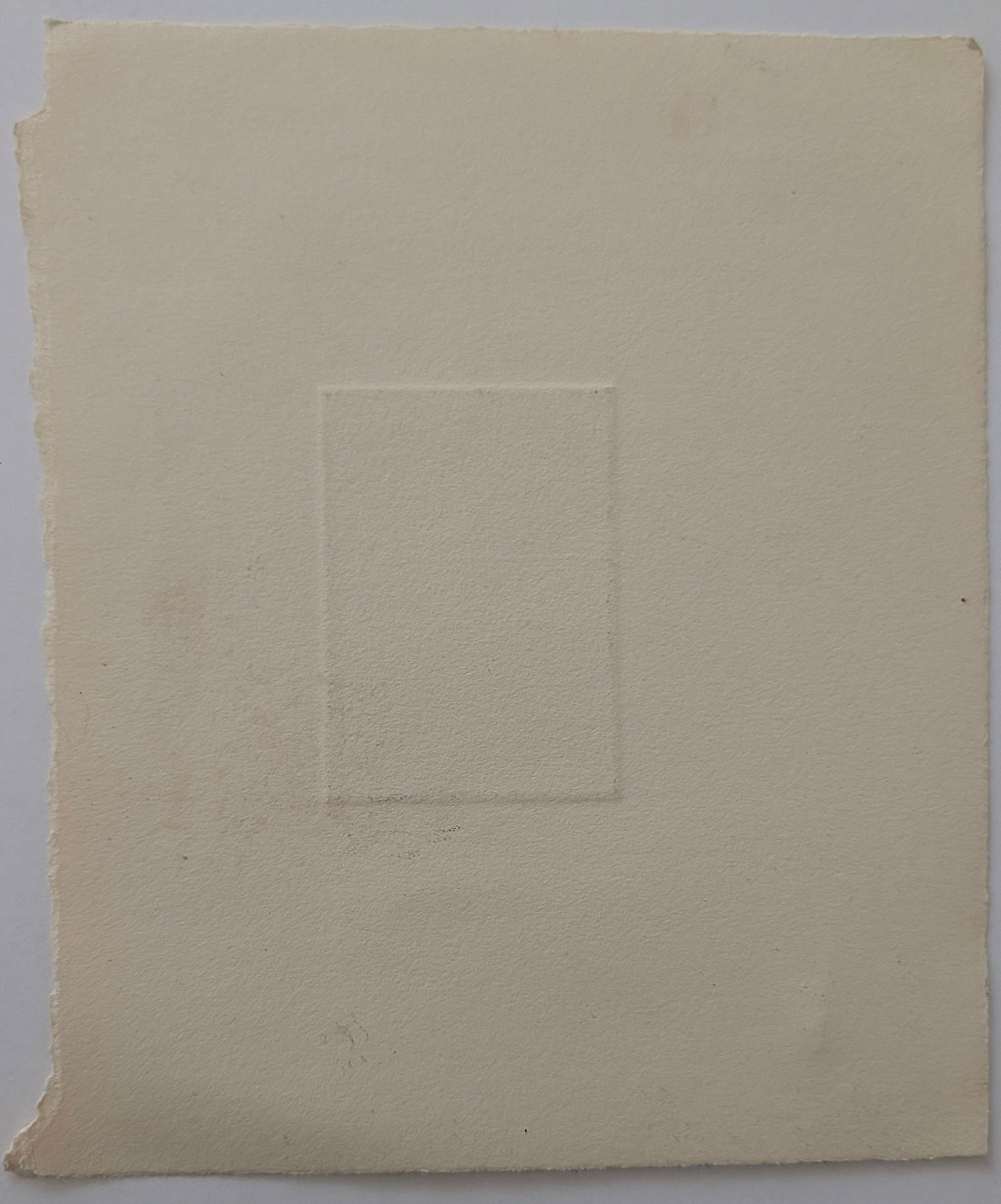 Original Art Etching with Moth Insects - 3