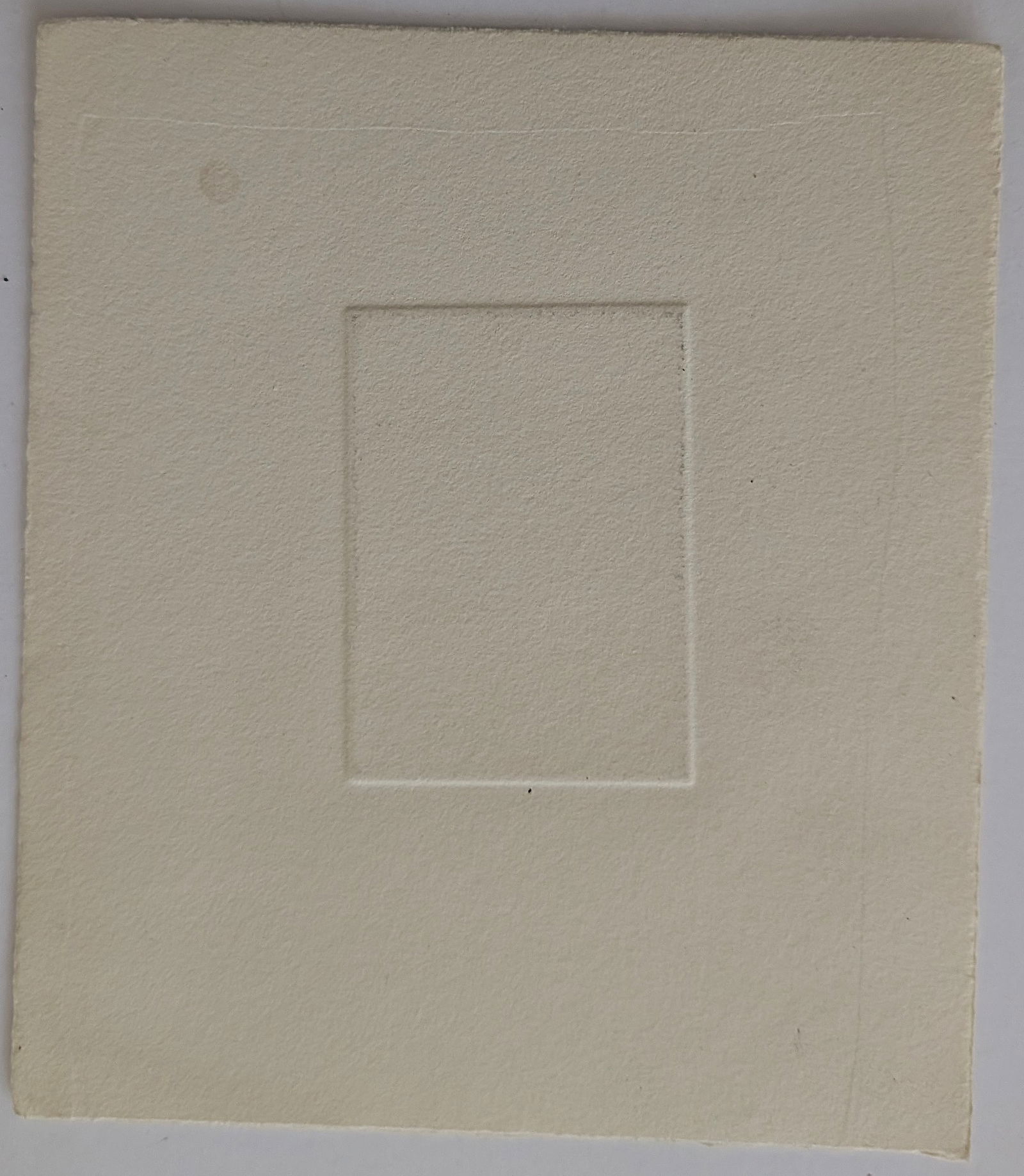 Original Art Etching with Moth Insects - 3