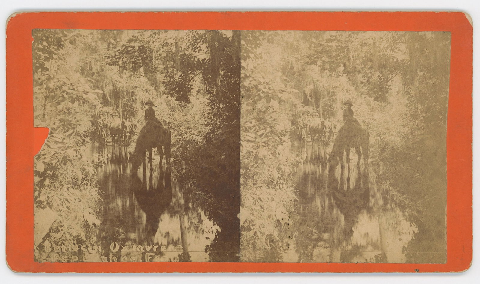 Vintage Antique Real Photo Stereoview Card FLORIDA: The provenance of this item is the forgotten (for many years) inventories of Artelisted. Most of these findings are vintage postcards and/or tradecards. The regular size of a postcard/tradecard is app