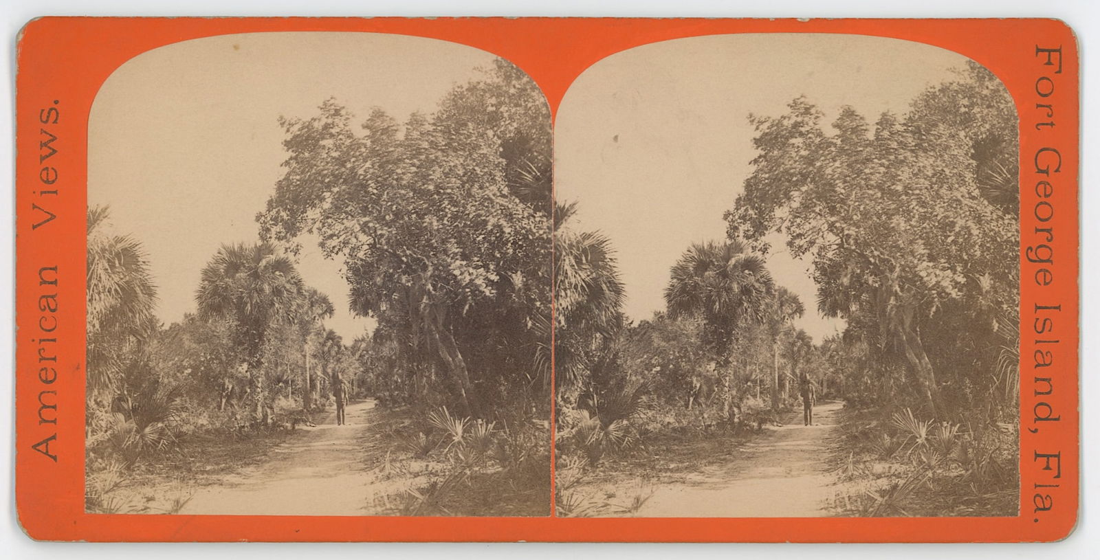 Vintage Antique Real Photo Stereoview Card FORT GEORGES ISLAND, FL: The provenance of this item is the forgotten (for many years) inventories of Artelisted. Most of these findings are vintage postcards and/or tradecards. The regular size of a postcard/tradecard is app