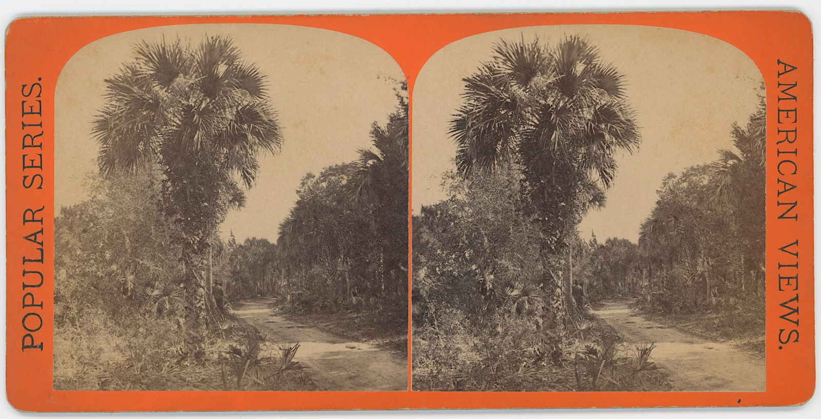 Vintage Antique Real Photo Stereoview Card FORT GEORGES ISLAND, FL: The provenance of this item is the forgotten (for many years) inventories of Artelisted. Most of these findings are vintage postcards and/or tradecards. The regular size of a postcard/tradecard is app