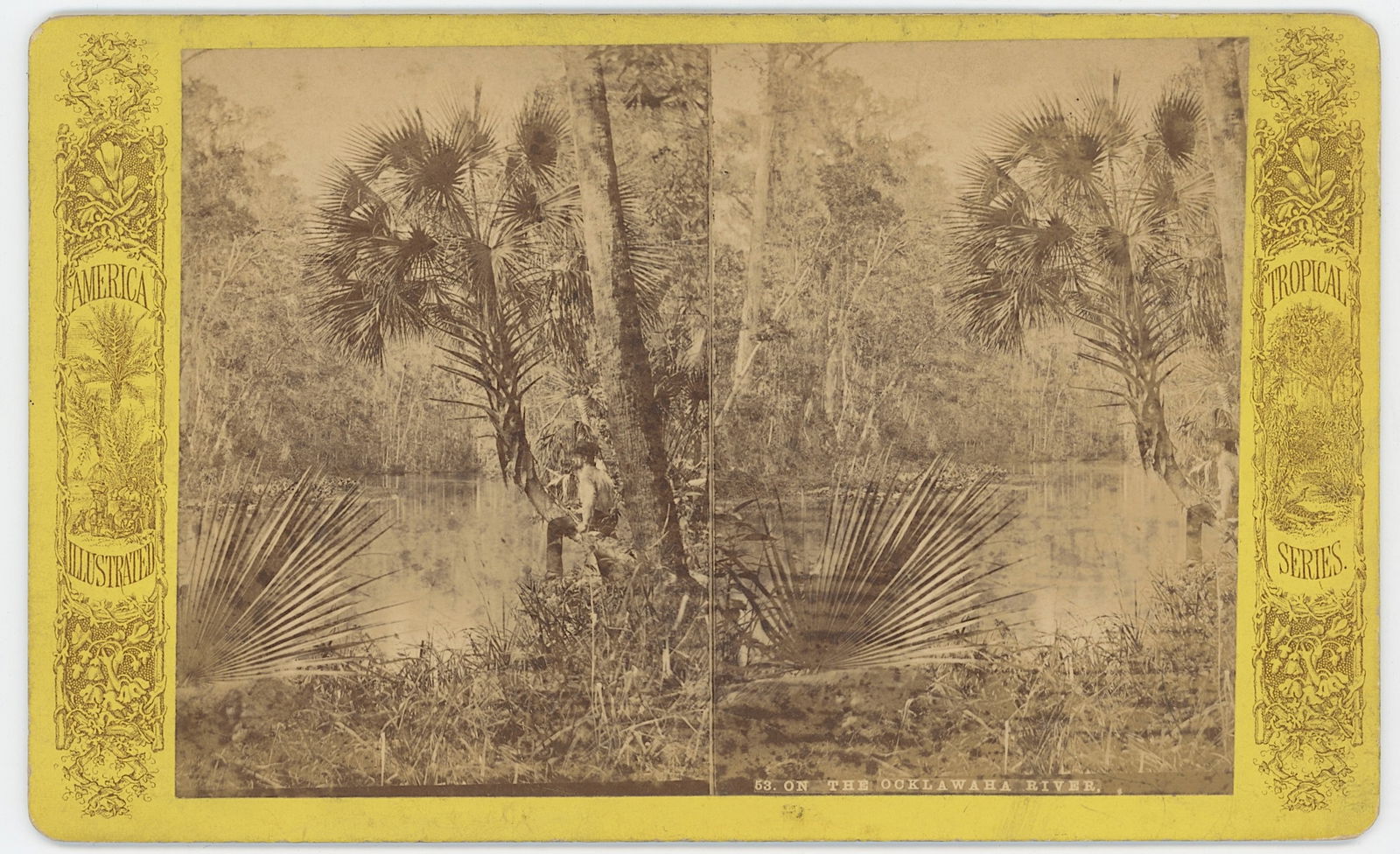 Vintage Antique Real Photo Stereoview Card OCKLAWAHA RIVER, FL: The provenance of this item is the forgotten (for many years) inventories of Artelisted. Most of these findings are vintage postcards and/or tradecards. The regular size of a postcard/tradecard is app