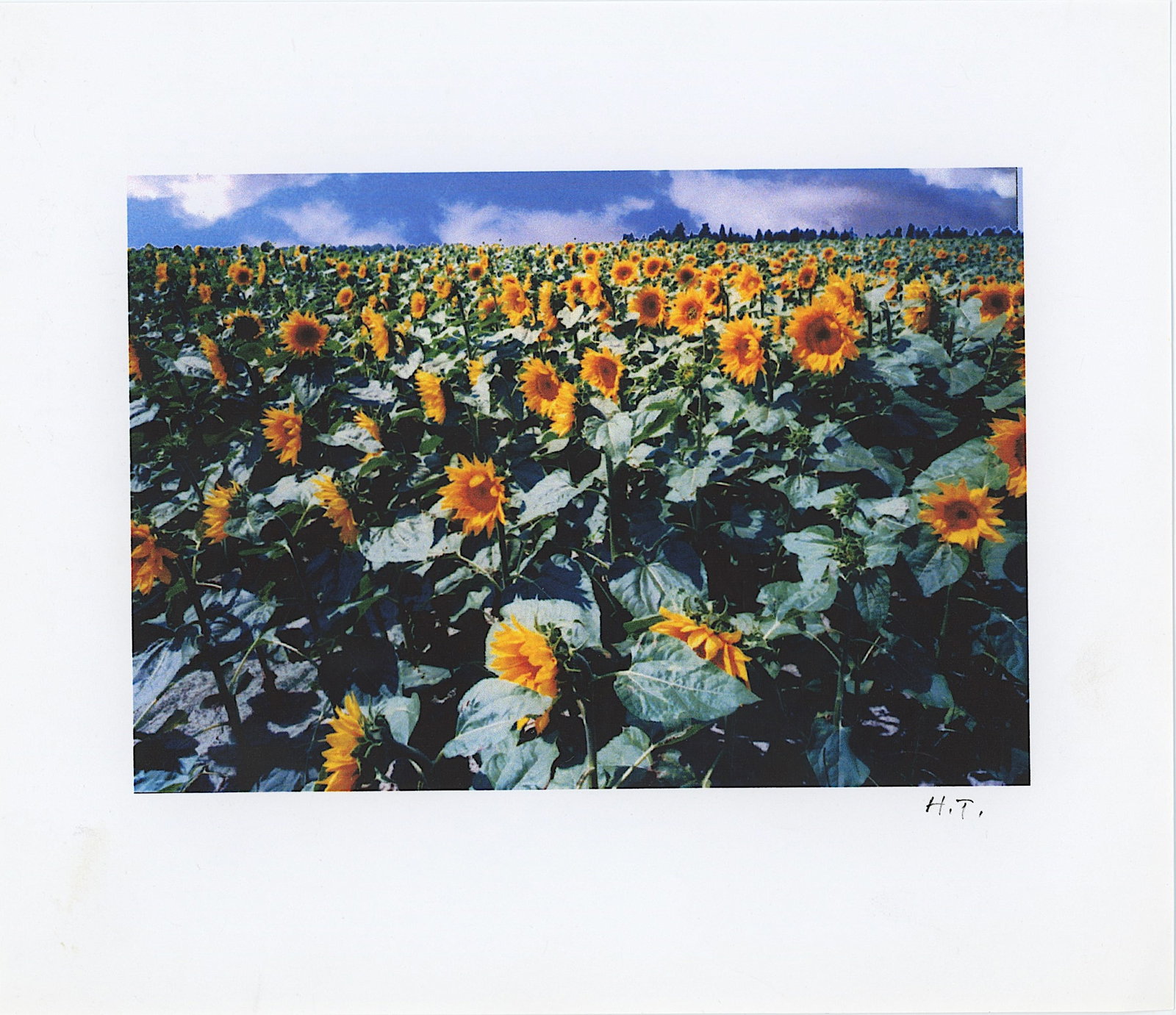 HARRIET TANNIN (1929-2009) Original Digital Print Hand Signed: Original digital print, hand signed with initials and from the archives of the artist Harriet Tannin. Harriet Tannin, photographer, painter, sculptor, political activist, writer and lecturer was born